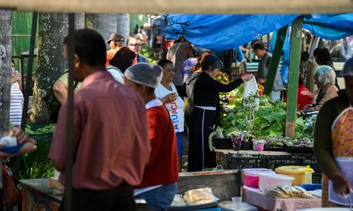Feira Livre movimenta Barra Mansa com produtos frescos e culinária local